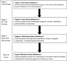 Image result for Status Epilepticus
