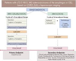 The head and wings of an eagle; Icorg 10 14 Neoadjuvant Trial In Adenocarcinoma Of The Oesophagus And Oesophagogastric Junction International Study Neo Aegis Bmc Cancer Full Text