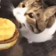 Stream Dustin Jester music