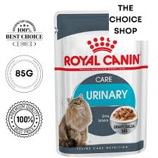 See full list on royalcanin.com Royal Canin Urinary Care 85g Per Wet Pouch Premium Quality Wet Cat Food From The Choice Shop Pet Supplies Pet Food On Carousell