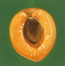 Il consiglio ideale per fare i lavoretti con la frutta autunnale insieme ai bambini è quello di insegnare loro il rispetto per il cibo che è il sostegno della vita e che, pertanto, non va sprecato. Come Insegnare Ai Bambini A Disegnare La Frutta La Cucina Italiana