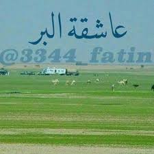 عاشقة البر 3344 Fatin Twitter