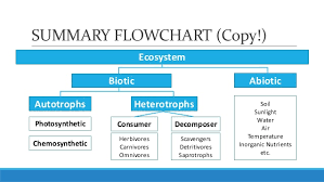 unit 5 lesson 5 2 biotic and abiotic components