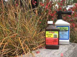 How To Effectively Use Dormant Oil The Good Earth Garden Center