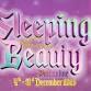 Sleeping Beauty Pantomime at Esher Theatre event image