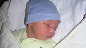 Fotogalerie: FOTOGALERIE: Únoroví novorozenci se představují