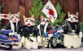 Red Devil Motors: Nameneko Bosozoku Cats