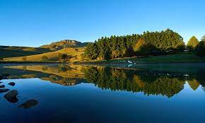 We strive to prevent cruelty to all living creatures, from pets to farm. Mooi River 2021 Best Of Mooi River South Africa Tourism Tripadvisor