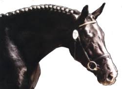 It is one of 16 organisations that form the british equestrian federation. Dressage Royal