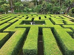 Scopri ricette, idee per la casa, consigli di stile e altre idee da provare. Taman Labirin Di Coban Rondo Yang Wajib Dikunjungi Jadipergi
