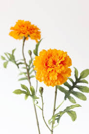 Maybe you would like to learn more about one of these? Artificial Marigold Flower In Orange Marigold Flower Artificial Flowers Silk Flowers Wedding