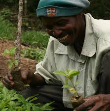 Good Practice Guidelines for Community Carbon Projects