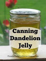 Proverbs 31 Woman Making Dandelion Jelly Dandelion Jelly Dandelion Recipes Jelly Recipes