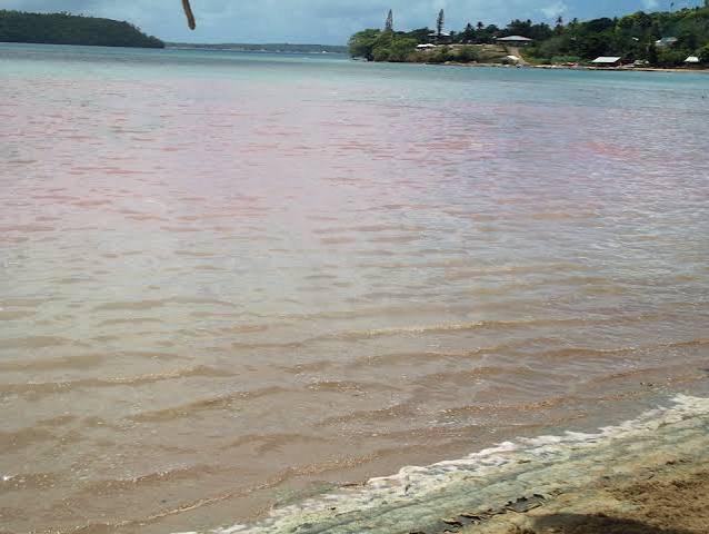 Vavaʻu beach sea turns blood red sparking panic - Kaniva Pacific
