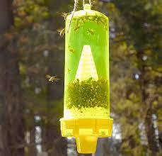 Spray the solution directly onto the yellow jacket to soak it thoroughly. The Best Yellow Jacket Traps For 2021 Reviewed Kill The Wasps