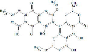 Image result for Pyrenacantha kaurabassana