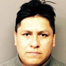 10 charged in Elizabeth dog-fighting ring; 17 dogs seized, authorities say 