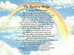 A visit to pet paradise by adrian raeside free download, epub, pdf, docs, new york times, ppt, audio books, bloomberg, #nyt, books to . Rainbow Bridge Liberal Dictionary