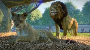 What would you do if you had the keys to the zoo? Planet Zoo Habitat Cleanliness Barriers And Animal Welfare Pcgamesn