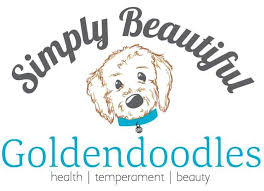 We have been breeding for 30 years and are people that you can count on! Ohio Goldendoodle Puppies