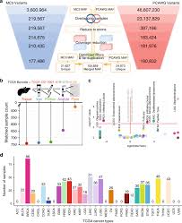 Motsi mabuse, joachim llambi and jorge gonzalez also returned as the judges. Retrospective Evaluation Of Whole Exome And Genome Mutation Calls In 746 Cancer Samples Nature Communications