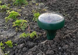Maulwurf Im Garten So Vertreiben Sie Ihn Am Besten