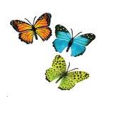 Choose from contactless same day delivery, drive up and more. Butterfly Decor Wayfair