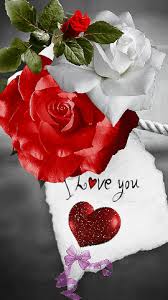 We did not find results for: Love Flowers Gif 6 Gif Images Download