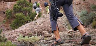 The mountain is named for its signature two humps and the head of a camel. Camelback Mountain A Hot Spot For Hikers And Rescue Teams Az Big Media