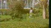 صادت فؤادي عبدالرحمن الحداد mp3. Ø¹Ø¨Ø¯ Ø§Ù„Ø±Ø­Ù…Ù† Ø­Ø¯Ø§Ø¯ ØµØ§Ø¯Øª ÙØ¤Ø§Ø¯ÙŠ Youtube