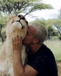 Dean Schneider And Lions Cute Wild Animals Cute Baby Animals Cute Funny Animals
