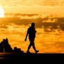 Severe 2026 Heatwave in Germany Poses Significant Health Risks, Especially for Vulnerable Groups