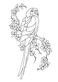 A vos feutres et crayons de couleurs , le perroquet attend de découvrir son plumage ! Coloriage Perroquet Branche Sur Hugolescargot Com
