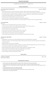loan processor resume sample mintresume