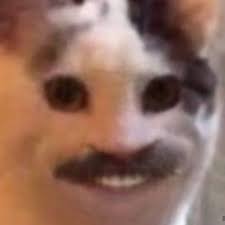 1080x1080 cursed images common resolutions in the 16:9 ratio are 1920 x 1080 pixels and 1280 x 720 pixels. 1080x1080 Cursed Images Cursed Cereal Meme By Cursed Images Memedroid