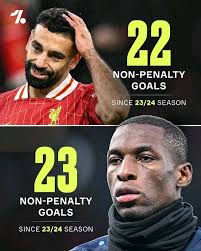 FFAF But, Mister, I didn't do nothin'! I swear!! Chacma Baboons Kenya