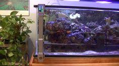 Os360 V1 1 Home Aquarium Fish Tank Aquarium