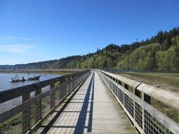 Read The Tide Charts Review Of Nisqually National Wildlife