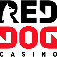 Directory of online casinos with no deposit bonuses. Top 10 Paysafecard Online Casinos 2021 Fast Safe Secure