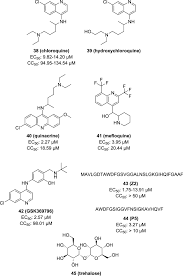 Drugs for the Treatment of Zika Virus Infection | Journal of Medicinal  Chemistry