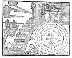 Struggling For Another Life The Ontology Of Degrowth