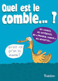 Quel Est Le Comble Amazon De Marie Fordacq Fremdsprachige Bucher
