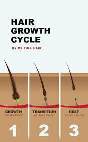 How To Use Olive Oil For Hair Growth 6 Best Regrowth Recipes Found With Images Hair Growth Cycle Olive Oil Hair Hair Growth Oil