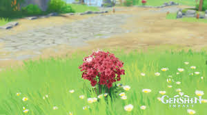 Genshin Impact 3.4: Where to find Silk Flowers for Hu Tao
