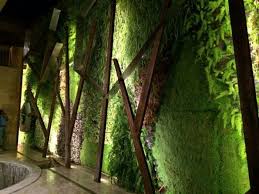 Pin By Natsag Altangerel On Aagii Vertical Garden Green Wall Outdoor Wall Decor