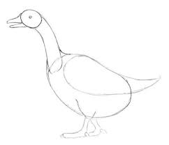 Wie Man Eine Gans Mit Einem Bleistift Zeichnet Wir Zeichnen Eine Gans Laufende Gans Zeichne Einen Schonen Vogel