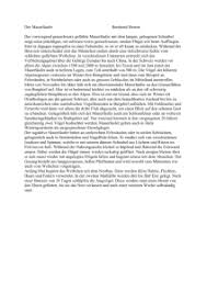 Deshalb bieten wir ihnen einige sätze und ausdrücke an, die ihnen dabei helfen können, richtig zu schreiben. Ubung Fur Die Klassenarbeit Tierbeschreibung