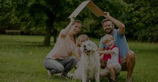 Cu creditprime poți obține credit rapid doar cu buletinul. Credite Online Doar Cu Buletinul áˆ ObÈ›ineÈ›i Credit Doar Cu Buletinul Creditprime