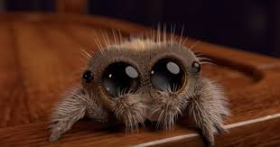 Download the perfect tarantula pictures. Lucas The Spider Series View The Entire Collection Here Videos Tarantula Heaven