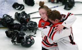 Image result for Emilia hockii